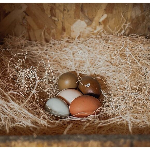 10~ Eaton Pet and Pasture,Premium Laying Hen Nesting Pads, Grown and Sustainably - Picture 5 of 7